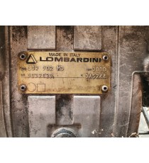Moteur Lombardini Focs 38000 km ( avec bobine de charge )