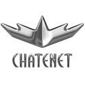 Componente da caixa de velocidades do Chatenet
